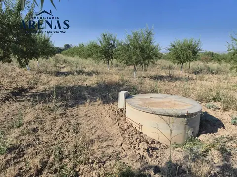 Finca en venta en Tocón — foto 6 de 9