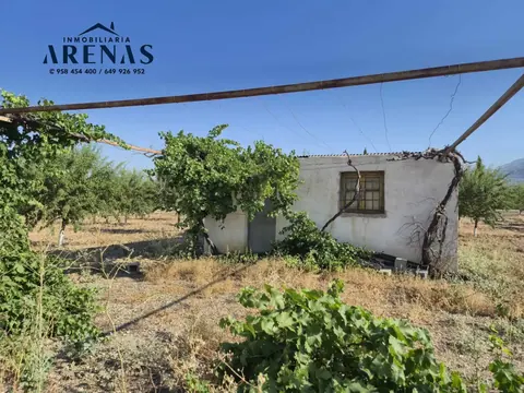 Finca en venta en Tocón — foto 7 de 9
