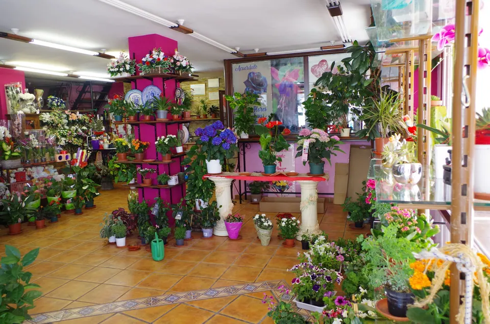 Local comercial en venta en Íllora — foto 3 de 8