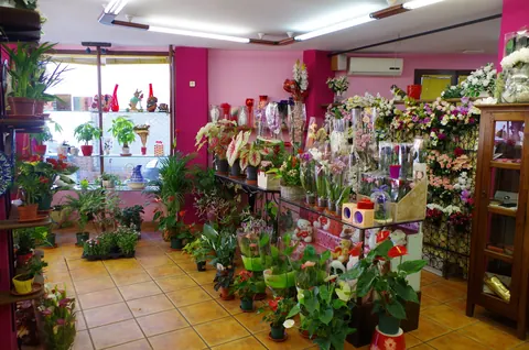 Local comercial en venta en Íllora — foto 5 de 8