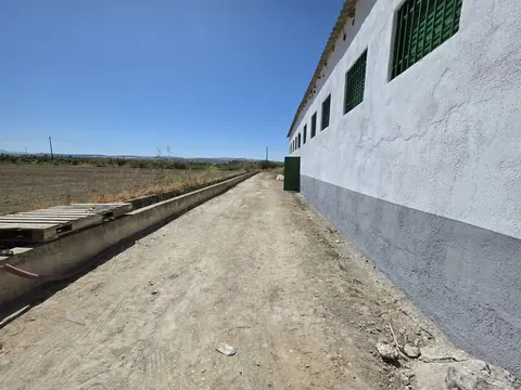 Nave en alquiler en Chauchina — foto 4 de 5