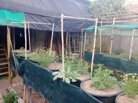Nave en venta en Pinos Puente — foto 10 de 12