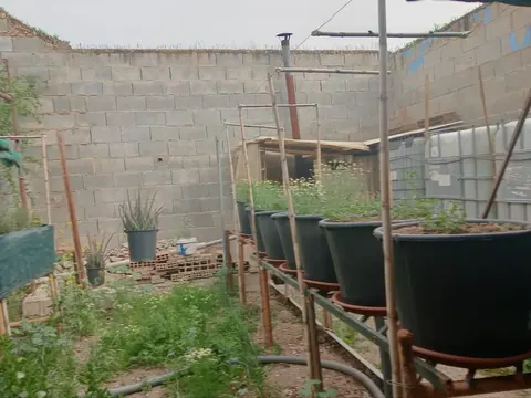 Nave en venta en Pinos Puente — foto 11 de 12