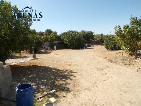 Solar en venta en Pulianas — foto 18 de 28